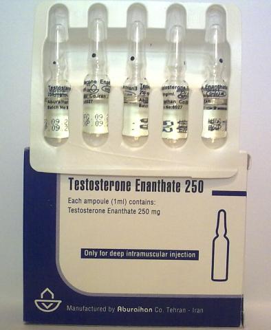 Testosterone decanoate cycle